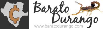 www.baratodurango.com